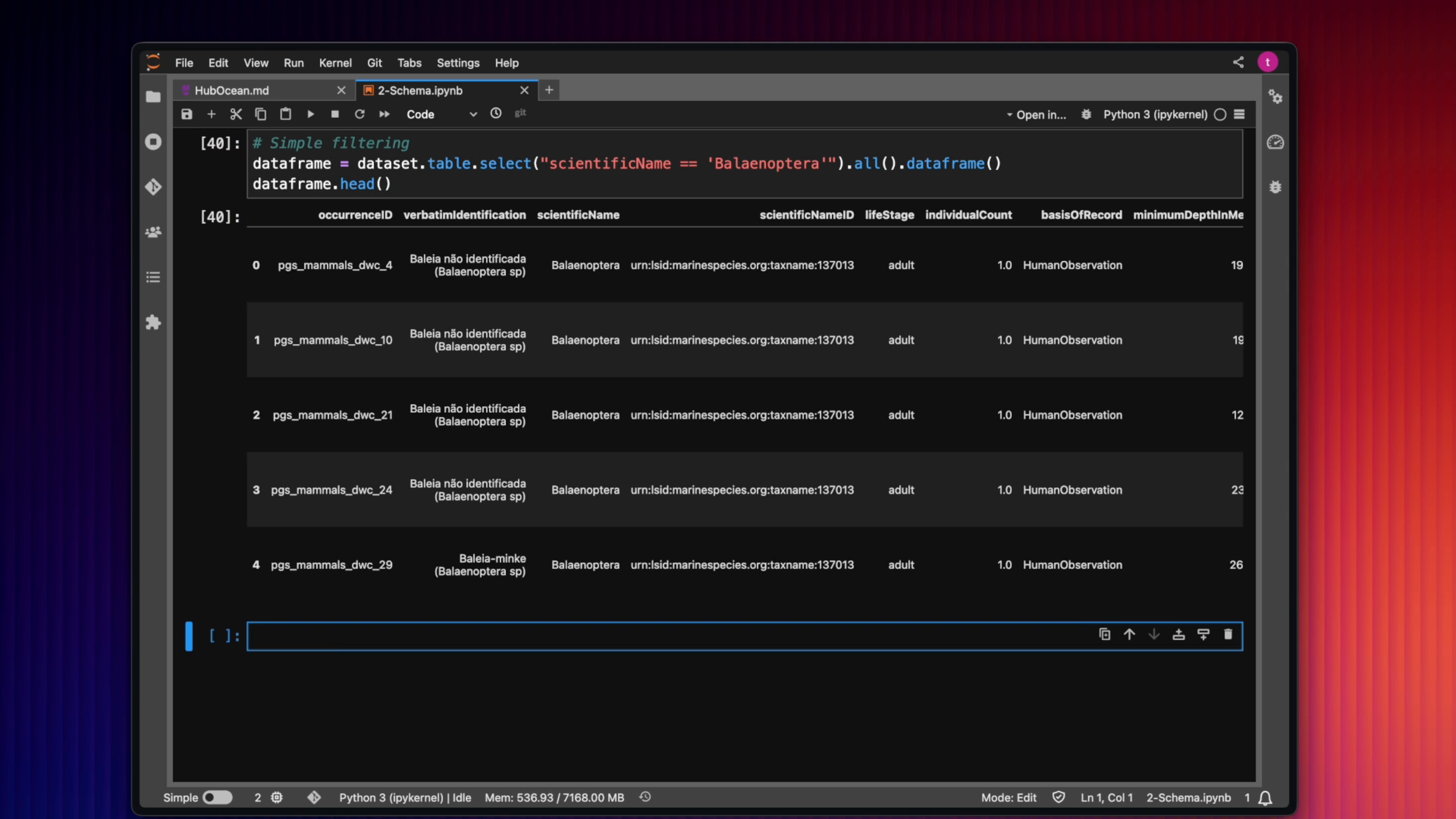 Python SDK query example