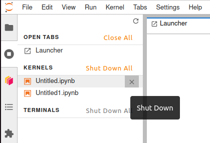 Kernel shut down